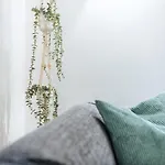 Kleine Koje