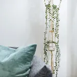 Apartment Kleine Koje *